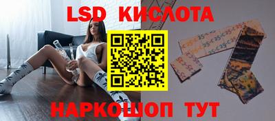 гидропоника Бердск