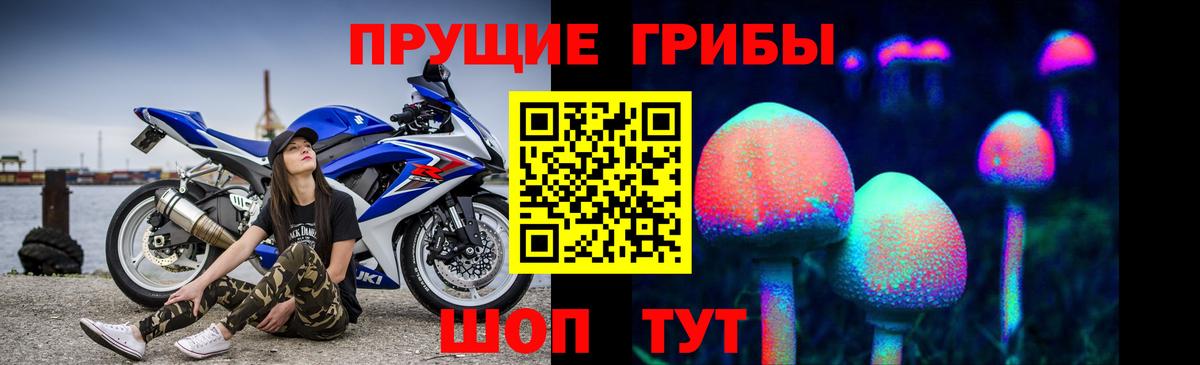 Бахчисарай  Галлюциногенные грибы Cubensis  Вход с VPN 